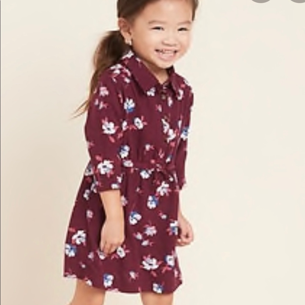2T adorable Old Navy dress